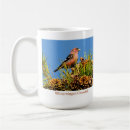 Suche nach finke kaffee tassen Wild lebende tiere