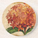 Suche nach vibrierend untersetzer Blüte