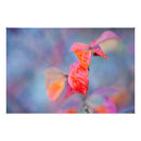 Recherche de majestueux posters Peinture murale