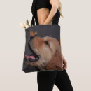 Suche nach nase taschen Welpe
