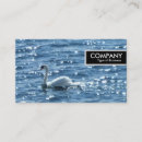 Recherche de cygne cartes visite Moderne