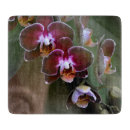 Recherche de orchidée planches à découper Exotique