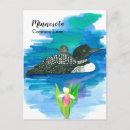 Recherche de minnesota cartes postales Sauvagine