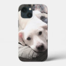 Recherche de fête des pères drôle iphone coques Anniversaire