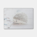 Suche nach igel post it Natur