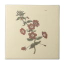 Suche nach botanische illustration fliesen Vintag