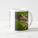 Suche nach coqui tassen Frosch