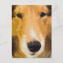 Suche nach shetland postkarten Welpen
