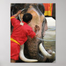 Recherche de jumbo posters Pour tous