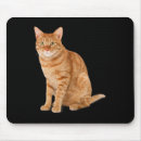 Recherche de joe biden tapis souris Amérique