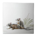 Suche nach mäuse fliesen Tiere