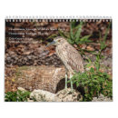 Recherche de wildlife calendriers Oiseaux