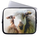 Suche nach schuhe laptop schutzhüllen Nutztiere