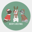 Suche nach große hunde aufkleber Frohe weihnachten