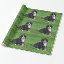 Suche nach mountain geschenkpapier Welpe