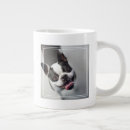 Recherche de image drôle de chien tasses Images getty