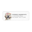 Suche nach lhasa apso Hunderasse