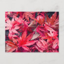 Suche nach autumn leaves poster Rot