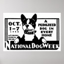 Recherche de vétérinaire posters Canin