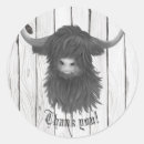 Suche nach highland cow aufkleber Kuh