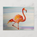 Suche nach flamingo rosa postkarten Tropischer vogel
