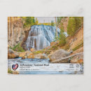 Recherche de gibon cartes postales Parc national de yellowstone