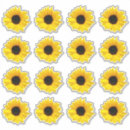 Recherche de tournesols autocollants Floral