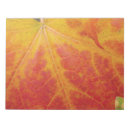 Recherche de érable blocsnotes Chute