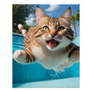 Recherche de plonger posters Piscine