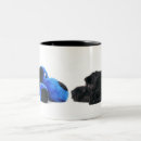 Suche nach weißer pudel tassen Welpe