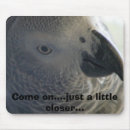 Suche nach lustiger vogel mousepads Papagei