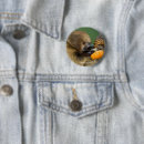 Recherche de paresse badges Faune