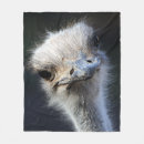 Recherche de autruche humour Animal