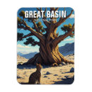 Recherche de bassins magnets Nature