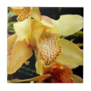 Suche nach rosa orchidee fliesen Keramik