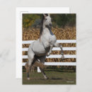 Suche nach andalusische postkarten Bob sprache