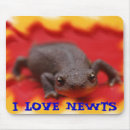 Recherche de salamandre tapis souris Newt