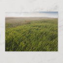 Suche nach grasse poster Reise