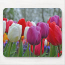 Suche nach tulpen mousepads Frühling