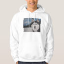 Suche nach heiser hoodies Hund