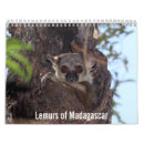 Suche nach lemurs Niedlich