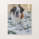 Recherche de beau chien puzzles Animal de compagnie