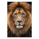 Suche nach löwe foto poster Löwen