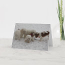 Suche nach neuer job karten Glückwünsche