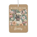 Recherche de compagnon animal maison deco Pour tous