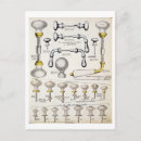 Suche nach katalog postkarten Designs