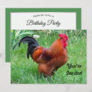 Recherche de coq rouge invitations Animal de ferme