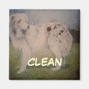 Recherche de statut magnets Propre