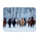 Suche nach kälte magnete Pferd