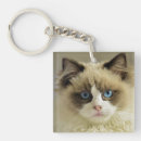 Recherche de chat de ragdoll porteclés Félin